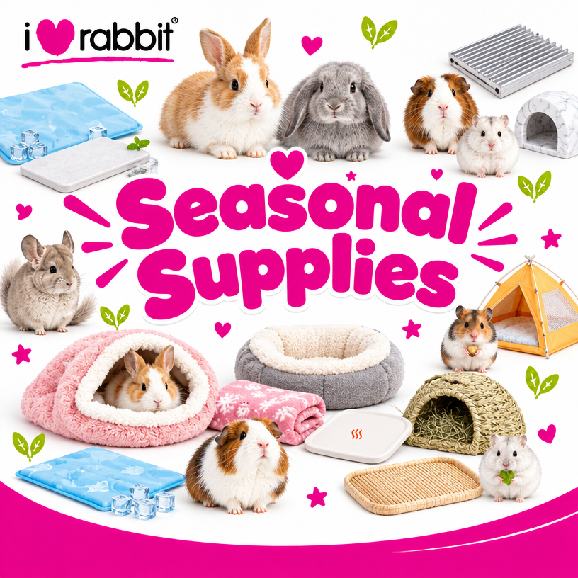 Seasonal Supplies