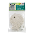 Jolly Chinchilla Gnawing Stone