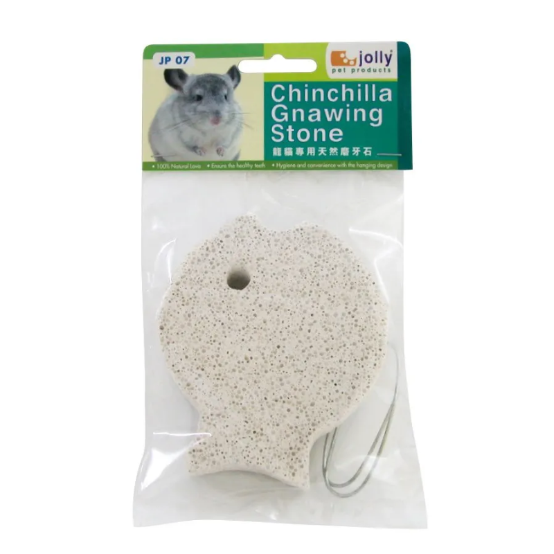 Jolly Chinchilla Gnawing Stone
