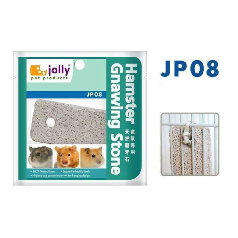 Jolly Hamster Gnawing Stone