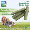 Mr. Hay Hay Toy: Timothy Hay Sticks