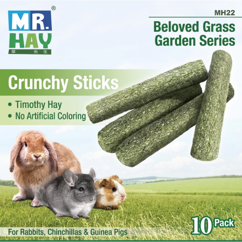 Mr. Hay Hay Toy: Timothy Hay Sticks